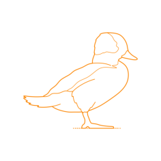 Animals Waterfowl Bufflehead Silhouette Cutting Svg Files, Free Vectors File